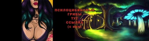 ПСИЛОЦИБИНОВЫЕ ГРИБЫ Армянск