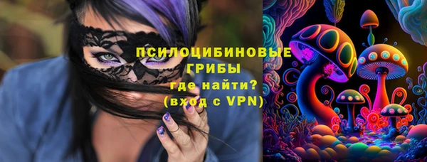 ПСИЛОЦИБИНОВЫЕ ГРИБЫ Армянск