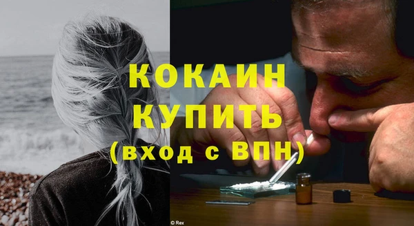 прущие грибы Горнозаводск