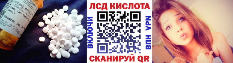 Лсд 25 экстази ecstasy  Шадринск 