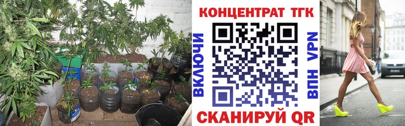 купить наркоту  Шадринск  ТГК концентрат 