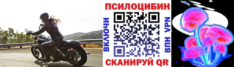 Галлюциногенные грибы MAGIC MUSHROOMS  где можно купить   Шадринск 