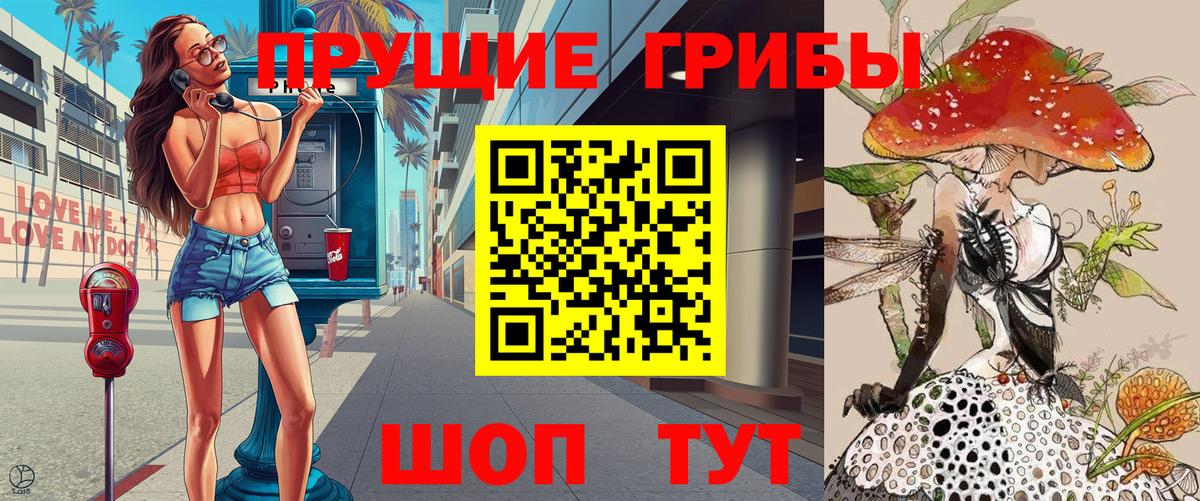 Шадринск  Галлюциногенные грибы ЛСД  Псилоцибиновые грибы ЛСД  Вход с VPN 