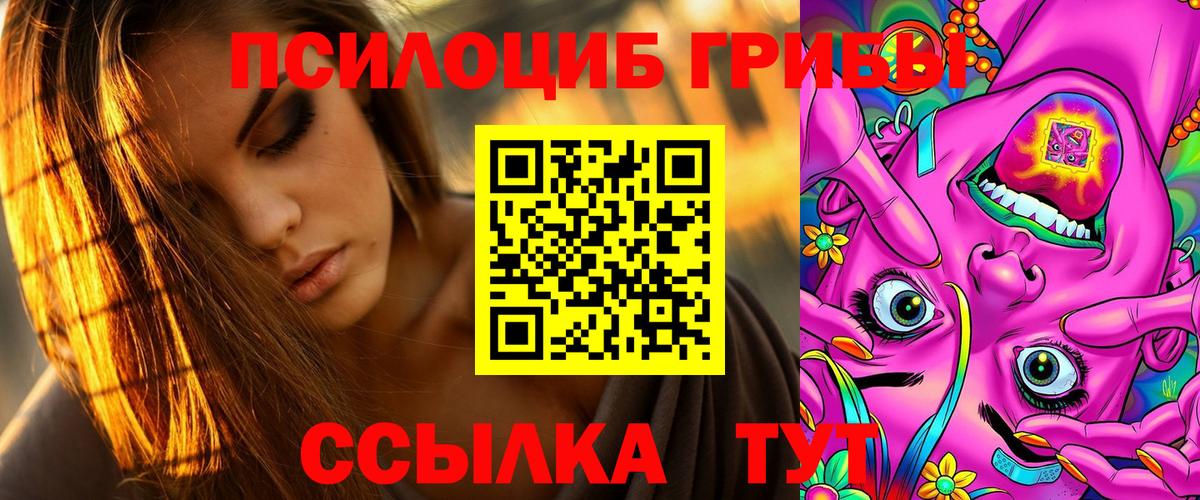 Галлюциногенные грибы Psilocybe Шадринск